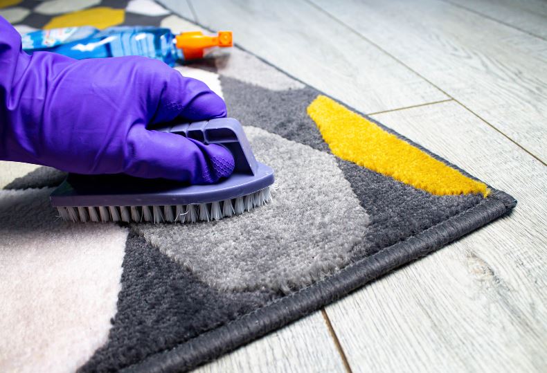 Carpet Cleaning Services in Kenya